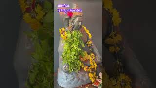 తులసిని సమర్పించకూడదు #dharmasandehalu #devotional #youtubeshorts #remedies #astrology