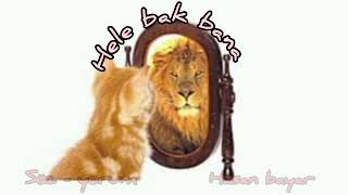 Hasan Bayar Hele Bak Bana