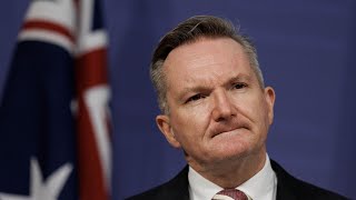 For Gods Sake, Resign Bowen Makes Australia The Laughingstock Of The World