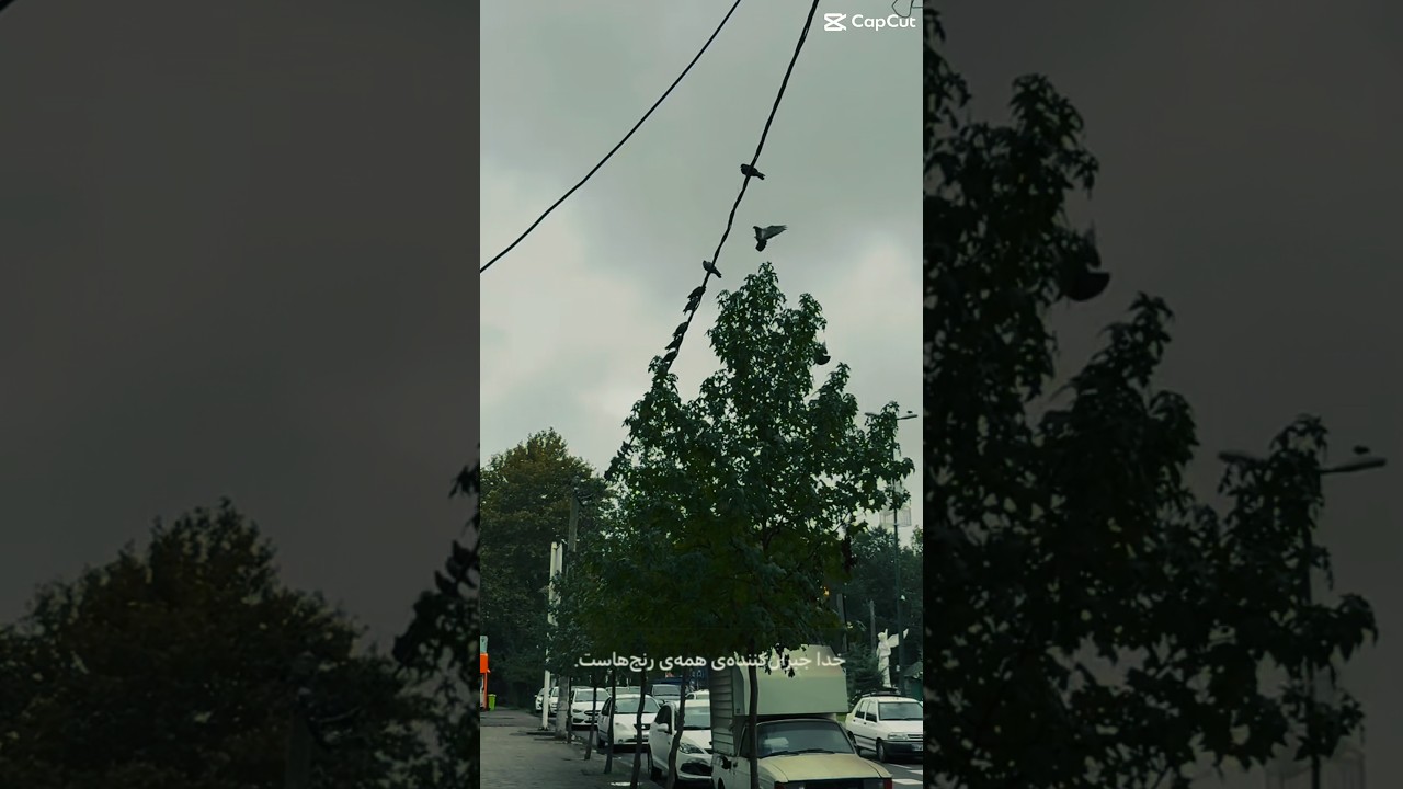 خدا جبران کننده‌اس! | 