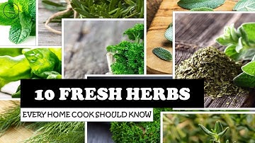 10 Fresh Herbs I Every Home Cook Should Know I Essential Herbs for Kitchen I CookBook
