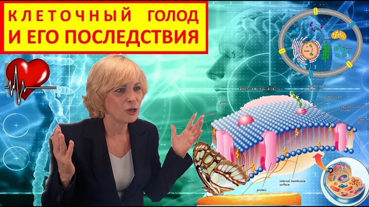 КЛЕТОЧНЫЙ ГОЛОД И ЕГО ПОСЛЕДСТВИЯ - YouTube