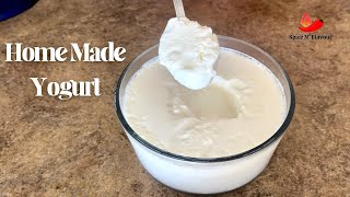 Homemade Yogurt | Curd Recipe | How to Make Yogurt at Home