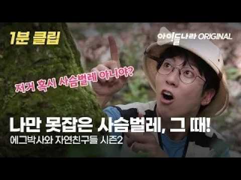 에그박사만 못찾은 사슴벌레, 그때 눈앞에 등장한 것은?! 에그박사와 자연친구들 시즌2 EP.1