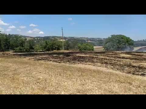 Campo di grano in fiamme a San Liberio