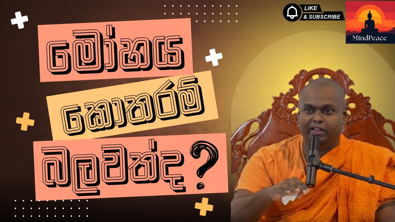 මෝහය කොතරම් බලවත්ද ? | Mohaya Kotharam Balawathda ?