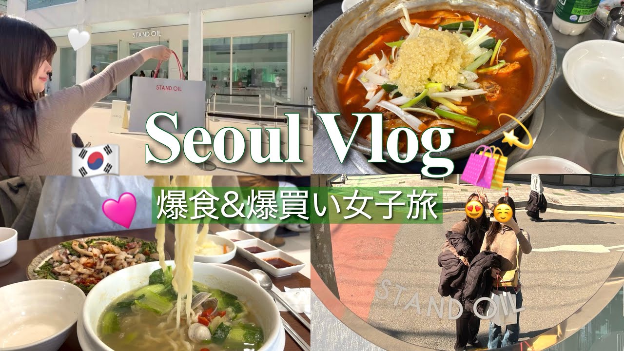 【韓国Vlog】女子2人ソウル旅🇰🇷💕聖水ショッピングが大優勝🛍️韓国グルメも美容も満喫した2泊3日✨ ｜安国・江南｜한글자막