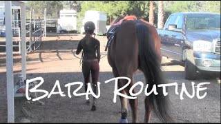 My Winter Barn Routine!