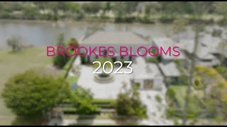 BROOKE'S BLOOMS - Wrapping Up 2023