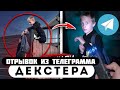 Отрывок из телеграмма // Декстер // Школьники ЗАЛЕЗЛИ В МОЙ ДОМ!