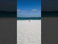 #visitnsw#familytime#beach#beautifulday#kidsvideo#nature#17march 2025