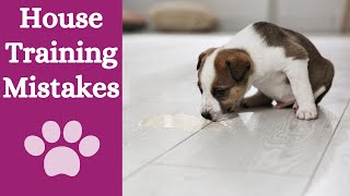 Toilet training: avoid these big mistakes by Finn Paddy Dog Training 63 views 1 year ago 2 minutes, 30 seconds