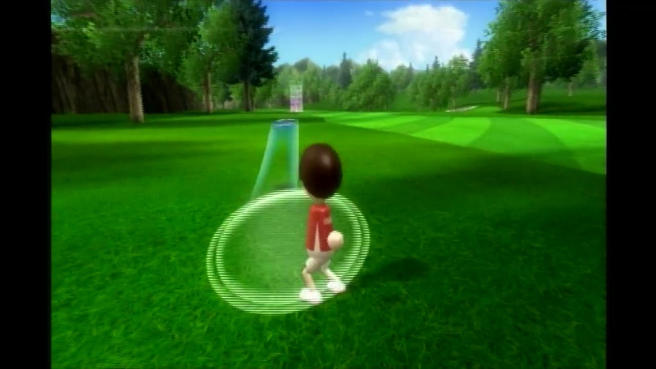 やれる『WiiSportsResort』