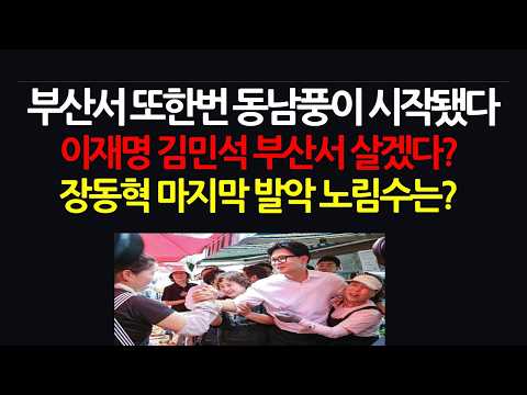 여야 목숨 건 '부산여론전쟁' 발발! 한동훈 피를 토하는 호소? (후원계좌 388 890467 32807 하나 송원재)