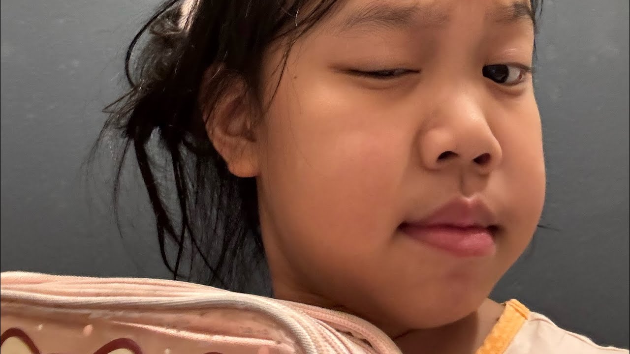 new-pencil-case-pencilcase-capybara-school-stationery-youtube