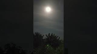 Bali Full Moon 7 October 2025 | Supermoon 2025 | Hunter&#39;s Moon #shorts #fullmoon