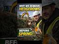 Builder Tip Why We Remove Hedgerows BEFORE Spring 🐦