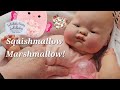 Squishmallow Marshmallow Vintage Vogue Baby Dear E. Wilkin Baby body restoration reborn by me💗