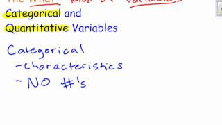 Famous Categorical vs Quantitative Variables Wealth