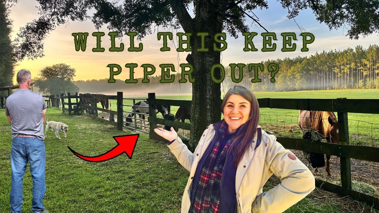 Spring Is Finally Here 🌸 Farm Projects, Fence Fixes & Saying Goodbye to Winter in Florida