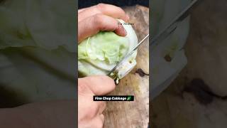 How to finely chop cabbage for momos and more … #explore #reels #howto #cuttingskills #animalmovie
