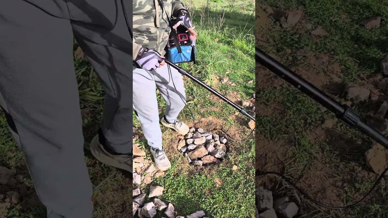 XP BOX: 2 PULSE & APOSTATIC.