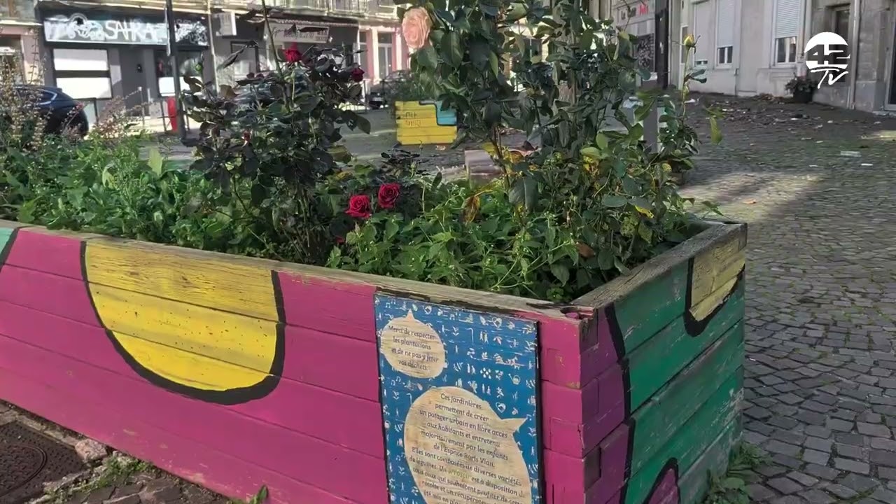 ⁣𝟰𝟮𝗧𝗩 Balade en ville | Promenade urbaine : la place Chapelon entre conservatoire et Saint-Roch