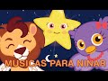 🔴 DIRECTO 2022 - A CORUJA, PEQUENA ESTRELA e mais Musica Infantis para NINAR - Leoncito Alado ☁️🦁☁️