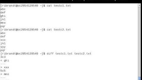 Linux Command (Diff)