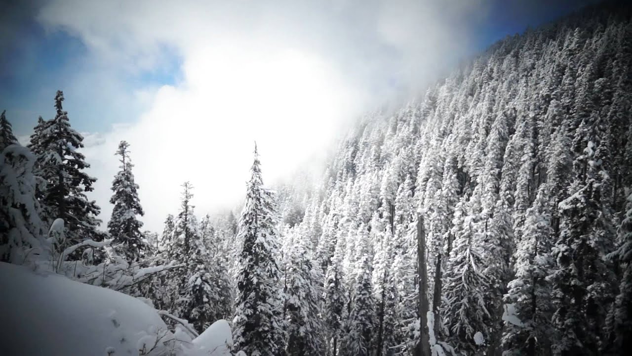 snowshoeing Grouse mountain YouTube