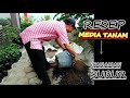 Racikan Media Tanam SUBUR campur Arang Kayu untuk tanaman Pot Polybag