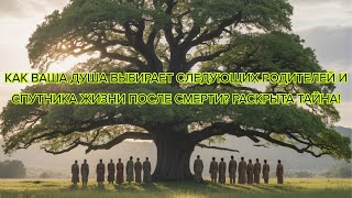 видео: Как ваша душа выбирает следующих родителей и спутника жизни после смерти Раскрыта тайна #душа #карма картинка: Как ваша душа выбирает следующих родителей и спутника жизни после смерти Раскрыта тайна #душа #карма