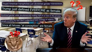 Reddit Unironically Thinks Everybody Is Female Now