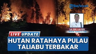 Download Lagu Kebakaran Hutan Landa Pulau Taliabu Maluku Utara, Polisi Selidiki Penyebab Munculnya Api MP3