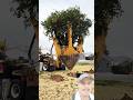 Tree Spade #tree #love #reaction