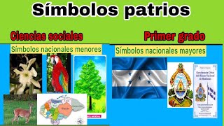 Símbolos patrios, 1° grado