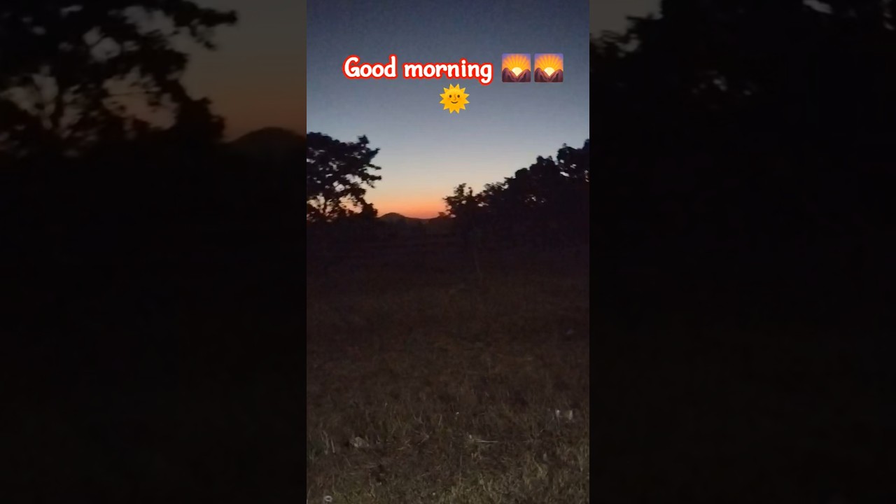 Morning view in my village❤️🌞