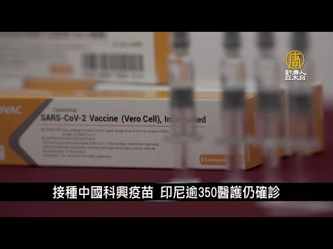 接种中国科兴疫苗 印尼逾350医护仍确诊｜寰宇扫描