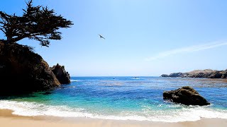 Mental Escape: 3 Hours of Peaceful California Beach Scenery (4K Video)