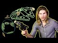 Why Han Solo Is a Time Traveler! (Because Science w/ Kyle Hill)