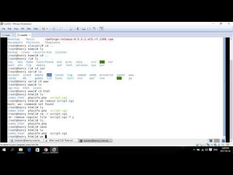 run script cgi on appserver centos