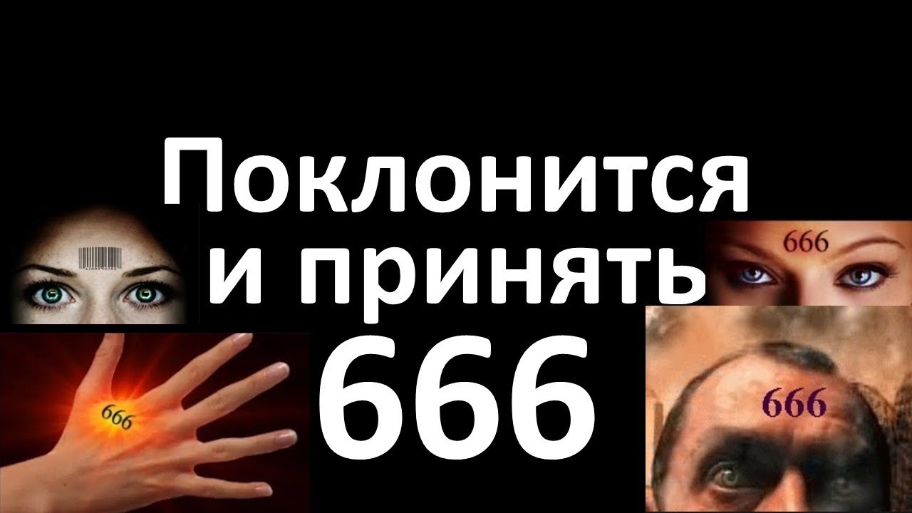 Тигуан слово что значит