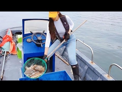 오징어 집을 찾았어요!🦑 갑오징어 무늬오징어 낚시! I found the house where the cuttlefish lives!