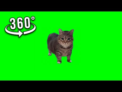 360º VR W&W