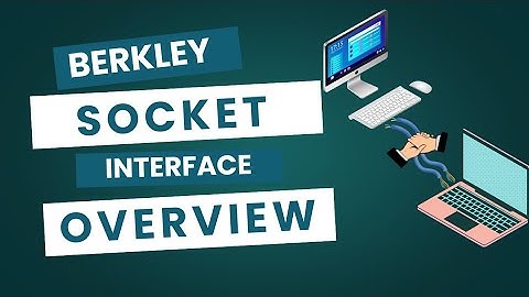 Berkeley Socket Interface Explained | Networking with Sockets 101 ✨ | SamCodeTutorials