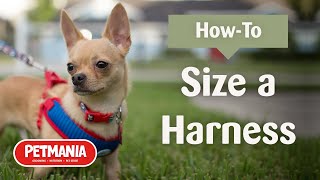 How to Size a Harness for your Dog