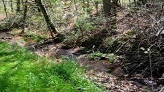 Babbling brook #2
