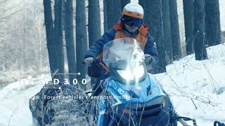 WOIDEAL WD300 Snowmobile