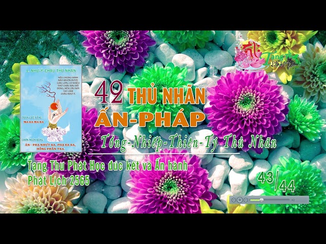 43. Tổng Nhiếp Thiên Tý Thủ Nhãn