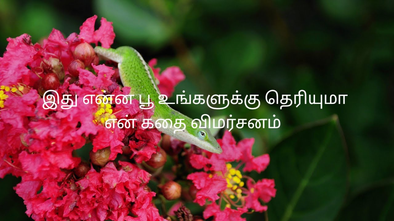 இது என்ன பூ உங்களுக்கு தெரியுமாஎன் கதை விமர்சனம் 